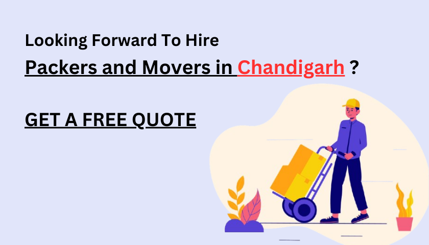 chandigarh banner