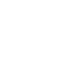 Play Video Play Video